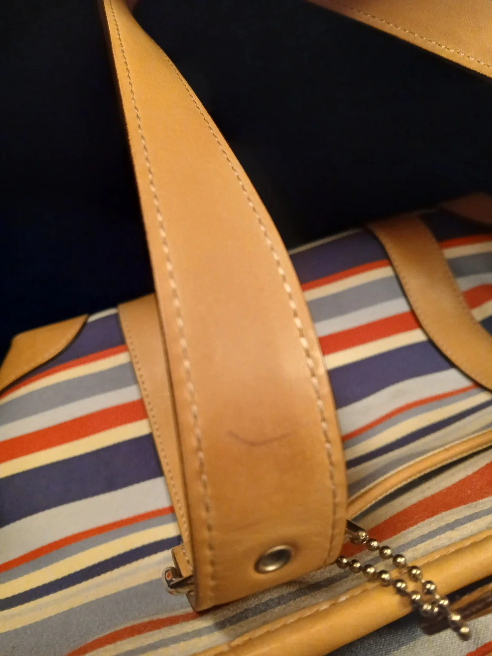 Coach Hampton Striped Purse